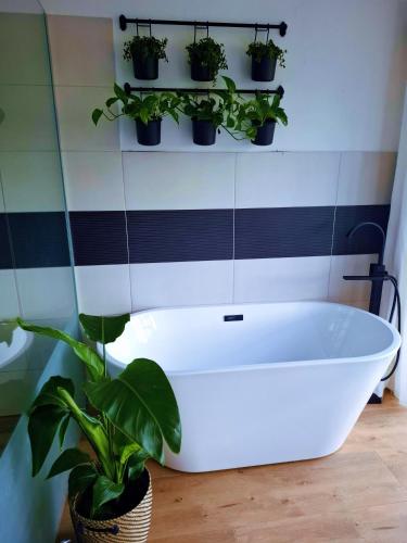 Zenovna - Reset v Beskydech in Frydlant Nad Ostravici Zenovna - Reset v Beskydech in Frydlant Nad Ostravici