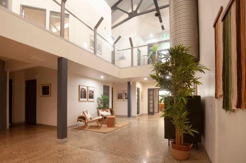 凯恩斯小漂流者 (Little Drifter Cairns ) in 凯恩斯 凯恩斯小漂流者 (Little Drifter Cairns ) in 凯恩斯