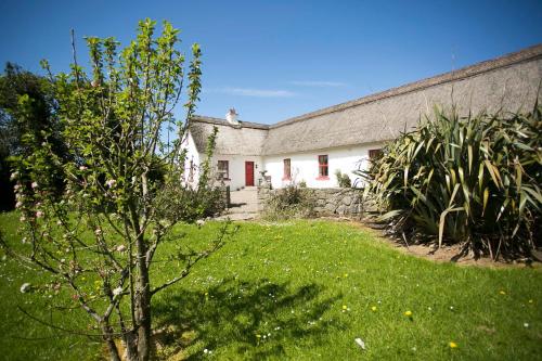 Pemandangan luar, Rose Cottage in Doolin Pemandangan luar, Rose Cottage in Doolin