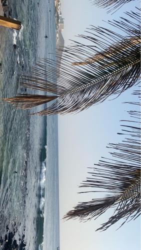 Strand, Studio cosy Dakar Fann Hock in Fann Strand, Studio cosy Dakar Fann Hock in Fann