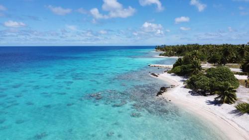 شاطئ, LE FARE BLEU Tiputa Rangiroa in Tiputa شاطئ, LE FARE BLEU Tiputa Rangiroa in Tiputa