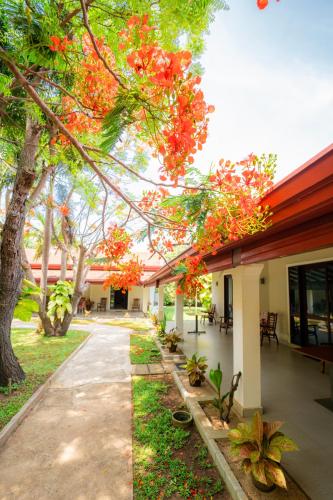 Peacock village and Spa in Arachchikattuwa Peacock village and Spa in Arachchikattuwa