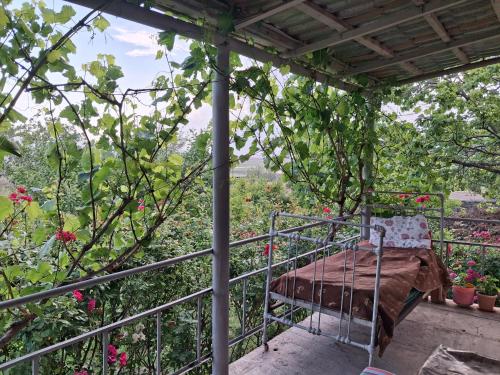 Noa Village Hostel and Guest house in Najicheván Noa Village Hostel and Guest house in Najicheván