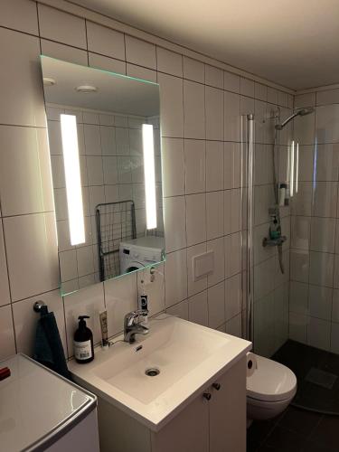 Shower, Staupslia Apartment in Levanger Shower, Staupslia Apartment in Levanger