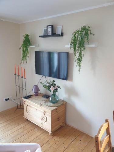 Traumpfade II in Boppard Traumpfade II in Boppard