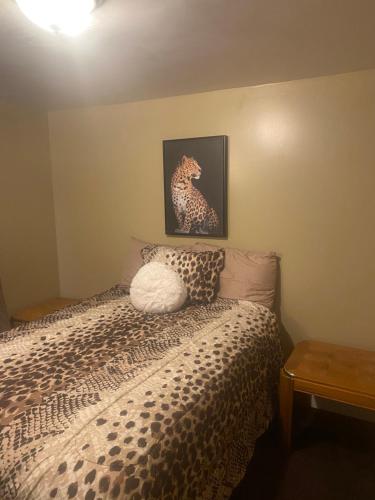 Luxury 3BR, 1BA-5mins from Hyde Park