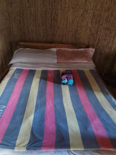 Home stay tree house in Santo Home stay tree house in Santo