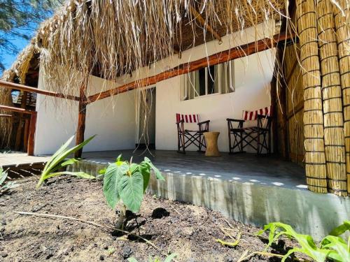 Tofo Beach Gardens in Inhambane Tofo Beach Gardens in Inhambane