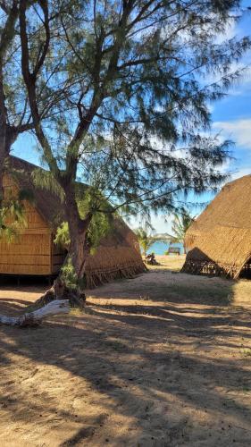 Tofo Beach Gardens in Inhambane Tofo Beach Gardens in Inhambane