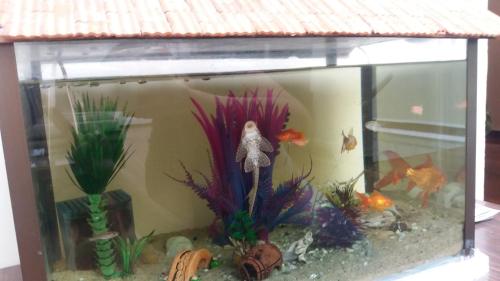 This photo about Hotel Boutique del Cafe shared on HyHotel.com