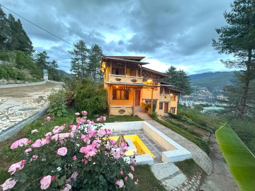 Tegevused, Dzi Pema in Paro Tegevused, Dzi Pema in Paro