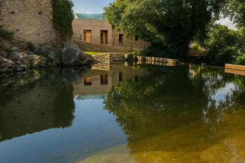 Úszómedence, Casa Rural Arbequina is a dream destination for rural tourism in Casas Del Monte Úszómedence, Casa Rural Arbequina is a dream destination for rural tourism in Casas Del Monte