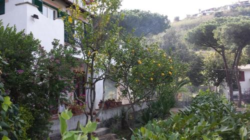 This photo about Villa L'Innominata B&B and Holiday Home shared on HyHotel.com