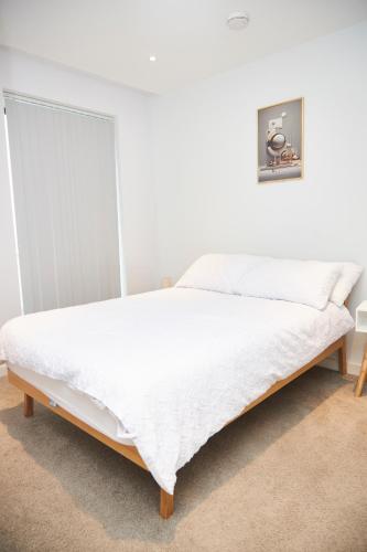 Cosy Two bedroom Apartment in Manchester