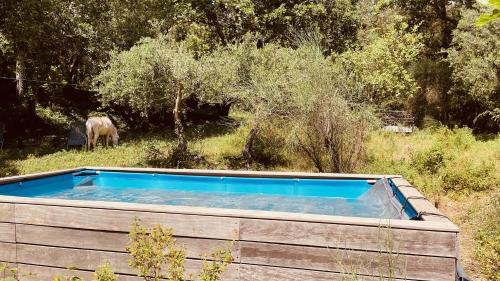 Swimming pool, Chalet avec piscine privee dans la foret in Bagnols-en-Foret Swimming pool, Chalet avec piscine privee dans la foret in Bagnols-en-Foret