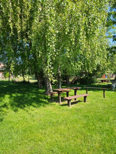 sklep u Toma in Moravsky Zizkov sklep u Toma in Moravsky Zizkov