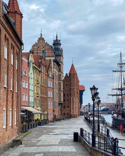 Gdańsk Oliwa Oliwki i wino (Gdansk Oliwa Oliwki i wino) in Siodmy Dwor Gdańsk Oliwa Oliwki i wino (Gdansk Oliwa Oliwki i wino) in Siodmy Dwor