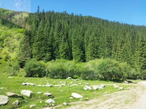 Greentravel-guesthouse in Tash-Tyube Greentravel-guesthouse in Tash-Tyube
