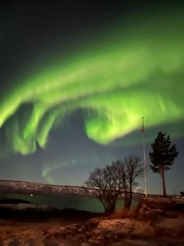 Nybygd og sentral leilighet in Leknes Nybygd og sentral leilighet in Leknes