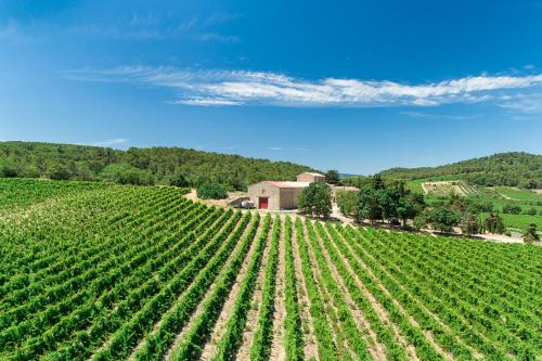 Château de Prax Viel - piscine et mini ferme, climatisé (Chateau de Prax Viel - piscine et mini ferme, climatise) in Lagrasse Château de Prax Viel - piscine et mini ferme, climatisé (Chateau de Prax Viel - piscine et mini ferme, climatise) in Lagrasse