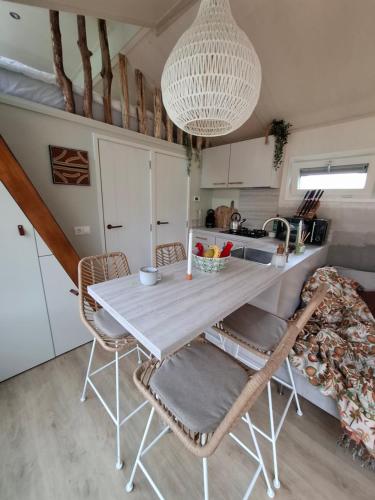 Thuisje van Hout, tiny house in Drentse natuur in Zuidwolde Thuisje van Hout, tiny house in Drentse natuur in Zuidwolde