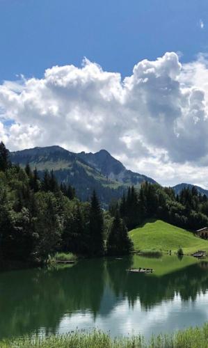 Instalaciones, Chalet Frederik in Sonntag Instalaciones, Chalet Frederik in Sonntag