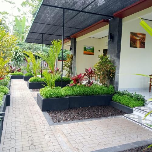 PONDOK KAK SEKEH Special guesthouse and stay in pure Balinese compound in Bangli PONDOK KAK SEKEH Special guesthouse and stay in pure Balinese compound in Bangli