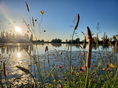 Petite maison proche rivière (Petite maison proche riviere) in Le Gue De Velluire Petite maison proche rivière (Petite maison proche riviere) in Le Gue De Velluire