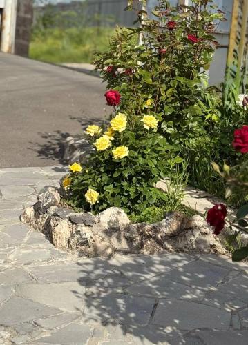 Hamuni in 阿博維揚 Hamuni in 阿博維揚