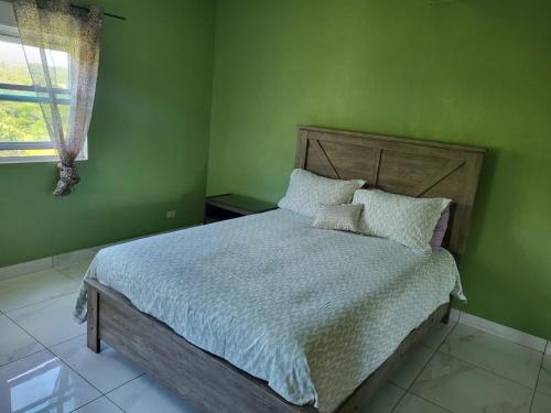 Sunny 2-Bedroom Retreat in Multi-Family Home in Charlotte Amalie West Sunny 2-Bedroom Retreat in Multi-Family Home in Charlotte Amalie West