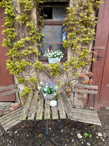 Apartment an der Rödlitzer Kirche (Apartment an der Rodlitzer Kirche) in Lichtenstein Apartment an der Rödlitzer Kirche (Apartment an der Rodlitzer Kirche) in Lichtenstein