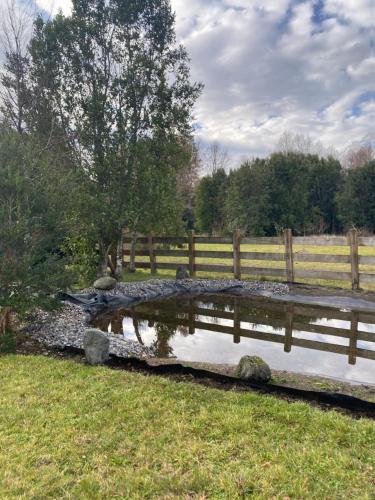 حديقة, Entre Rocas y Piedras in Quetroleufu حديقة, Entre Rocas y Piedras in Quetroleufu