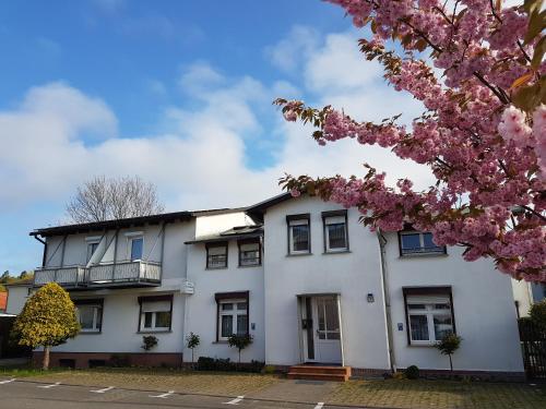 Siggis Pension