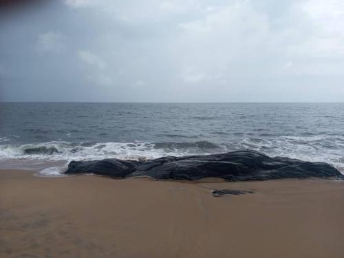 Вид, Studio Residence OR Tambo in Крібі Вид, Studio Residence OR Tambo in Крібі