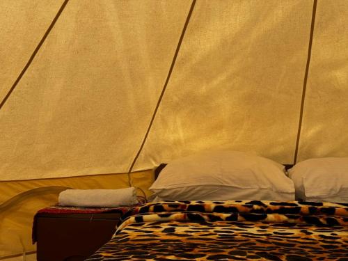 Aghdepat Glamping in Haghpat Aghdepat Glamping in Haghpat
