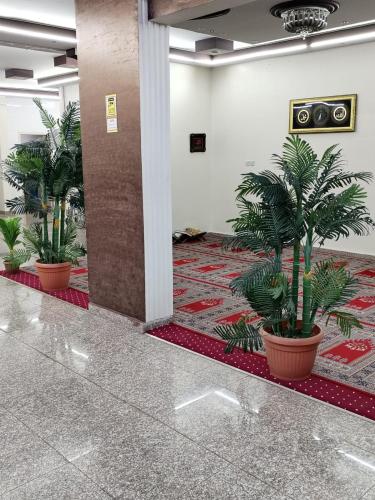 Al Eairy Furnished Apartments Hail 4 in Ha'il Al Eairy Furnished Apartments Hail 4 in Ha'il