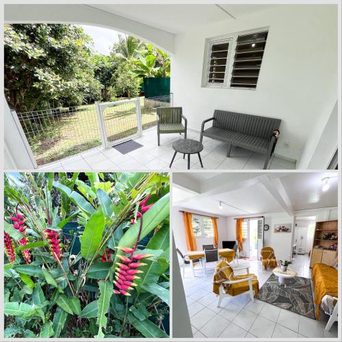 Vườn, Villa plaisir de vivre in Petit-Bourg Vườn, Villa plaisir de vivre in Petit-Bourg