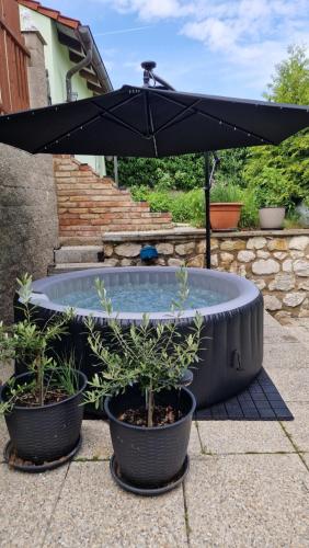 Kert, Penzion Villa Verde Moravia in Klentnice U Mikulova Kert, Penzion Villa Verde Moravia in Klentnice U Mikulova