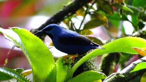 This photo about Cabinas Algebra shared on HyHotel.com