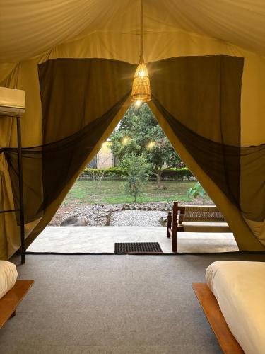 Hotel Tharu Garden And Beer Bar