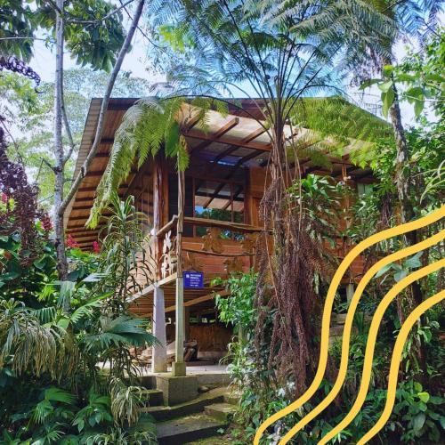 Pungara Eco-Lodge in Tena Pungara Eco-Lodge in Tena