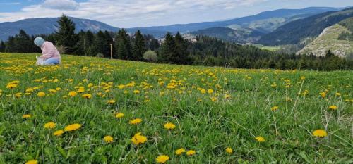 Planinska kuća Divna (Planinska kuca Divna) in Влашич Planinska kuća Divna (Planinska kuca Divna) in Влашич