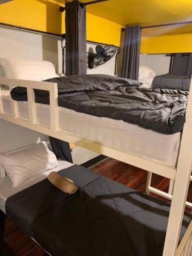 Sofia Hostel in Chiang Rai Sofia Hostel in Chiang Rai