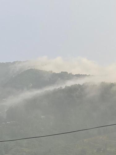 First Nature Homestay in 발루와파티 데우푸르 First Nature Homestay in 발루와파티 데우푸르