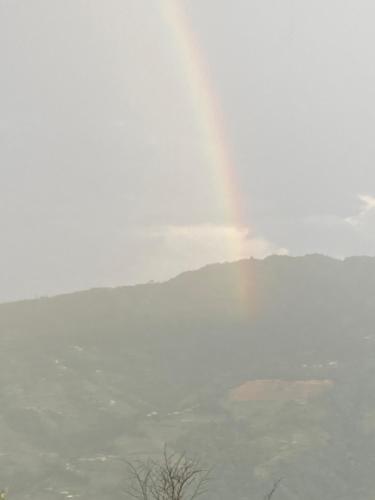First Nature Homestay in 발루와파티 데우푸르 First Nature Homestay in 발루와파티 데우푸르