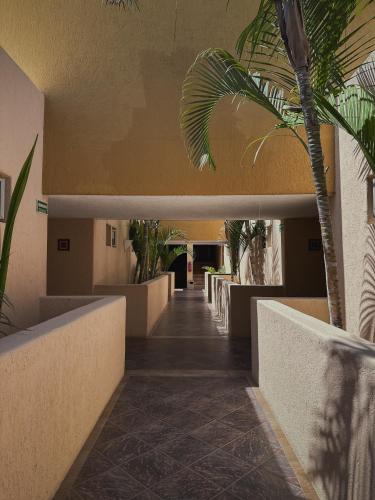 Hotel Los Patios in El Tezal Hotel Los Patios in El Tezal