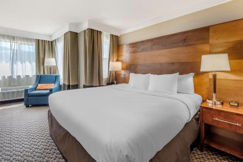 Comfort Inn & Suites Durango in S Camino Del Rio Comfort Inn & Suites Durango in S Camino Del Rio