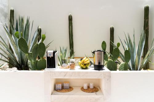 Facilities, Colmena Hotel Los Cabos Marina in Cabo San Lucas Facilities, Colmena Hotel Los Cabos Marina in Cabo San Lucas