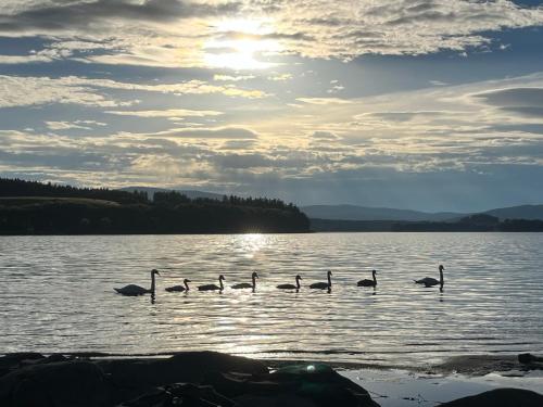 Chata POD HOUBOVÝM VRCHEM (Chata POD HOUBOVYM VRCHEM) in Horni Plana Chata POD HOUBOVÝM VRCHEM (Chata POD HOUBOVYM VRCHEM) in Horni Plana