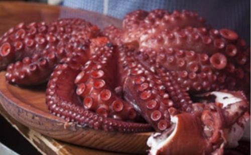 Casa Diaz in Casarellos Casa Diaz in Casarellos